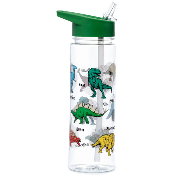 Reusable Shatterproof Water Bottle 550ml - Dinosauria