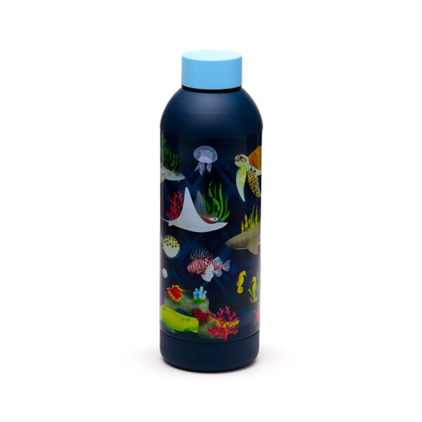 Reusable Insulated Drinks Bottle 530ml - Marine Kingdom