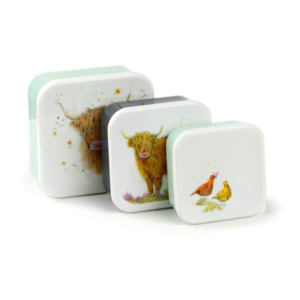 Lunch Boxes Set of 3 (M/L/XL) - Jan Pashley Highland Coo Cow