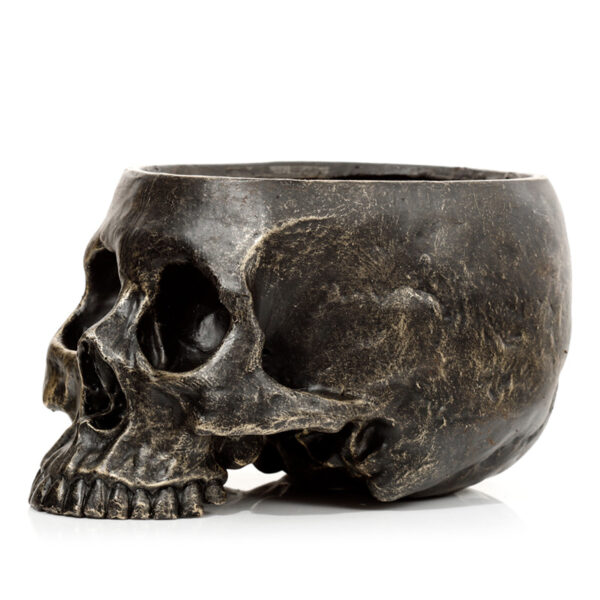 Skull Garden Planter